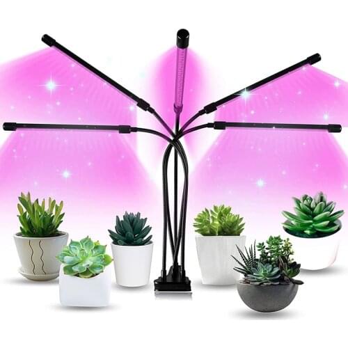 FGHGF Phytolamps For Plants