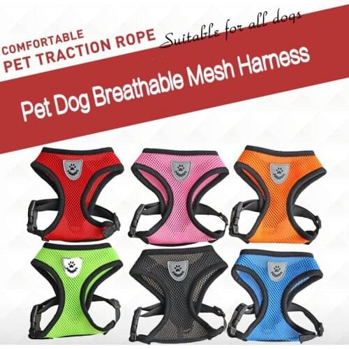 Pet Harness and Leash Sets Small Dog Chain Teddy Vest Puppies Chest Strap Breathable Mesh Harness Leash Cat Dog Walking Leads