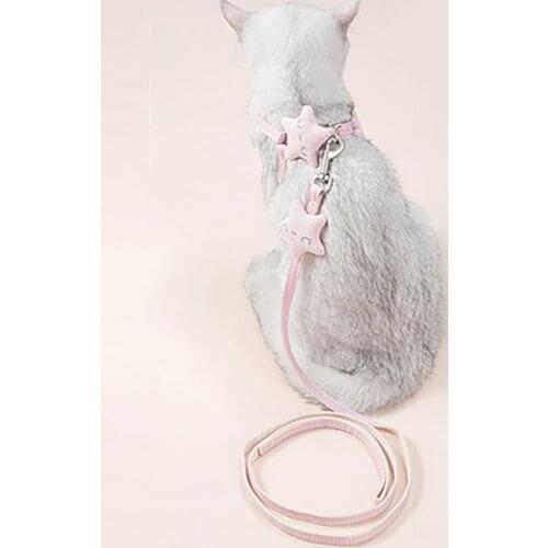 Cat Collar Cat Accessories Cats Leash Dog Collars Tag Szelki Dla Psa ошейник для кошек Arnes Perro Pequeño Поводок Для собак