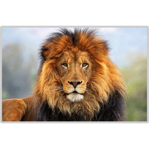 Lying Male Lion 5D DIY Diamond Painting Full Square/Round Diamond Embroidery Sale Mosaic Picture of Rhinestones Home Decoration