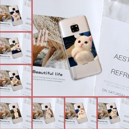 Back Cover For Huawei Mate 9 10 20 Lite Kawaii Cat Cute Animal Sweet Funny Phone Case Silicone For Huawei Mate 7 8 9 10 20 Pro