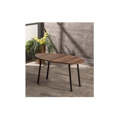 Modern Medium coffee table Metal Foot Ellipse Walnut coffee tables table basse furniture living room table