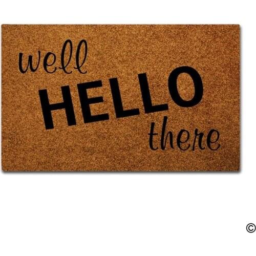 Door Mat Entrance Floor Mat Well Hello There Designed Funny Indoor Outdoor Doormat
