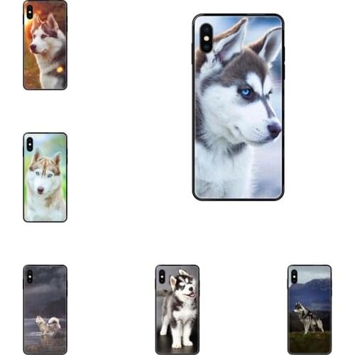 Expensive Husky Special Luxury Black Soft Phone Case For Samsung Galaxy S5 S6 S7 S8 S9 S10 S10e S20 edge Lite Plus Ultra