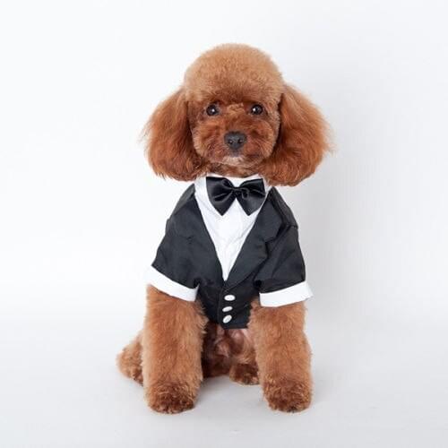 Formal Dog Clothes Wedding Pet Dog Suit Winter Clothes Puppy Dog Cat Apparel Wedding Suit Pet Apparel Puppy Outfit