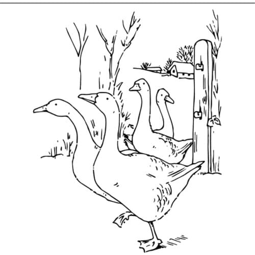 10x10 Four geese Transparent Clear Silicone Stamp Seal for DIY scrapbooking photo album Decorative clear stamp