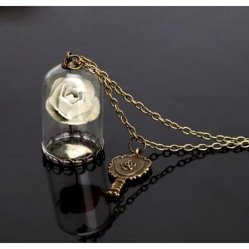 2021 New Women Romantic Dried Flowers Glass Bronze Long Chain Beauty and Beast Necklaces