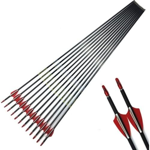 Pure Carbon Arrows Spine 500 600 700 800 900 1000 ID4.2mm Plastic Vanes Recurve Bow Hunting And Shooting Archery 12PCS