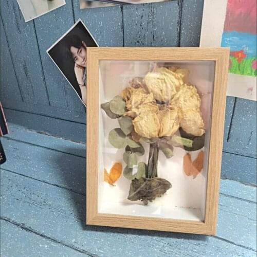 Dried Flower 3D Photo Frames DIY Insect Specimen Dispaly Frames Classroom Study Room Decorations Empty Photo Frame Modern Simple
