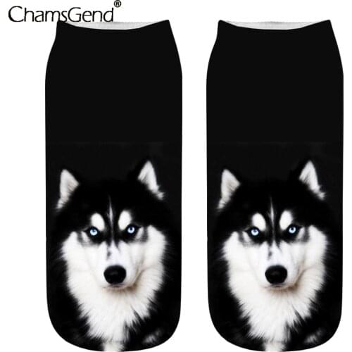 2021 New 3d Printed Women Socks Unisex Cute Low Cut Ankle Sock Multiple Colors Casual Funny Dog Casual Socks Dropshipping