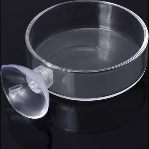 New Arrival Fish Tank Feeder Aquarium Shrimp Glass Feeding Bowl Clear Dish Tray