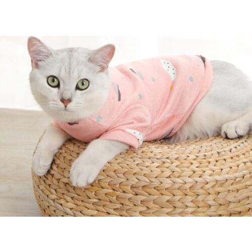 Pet Cat Clothes Puppy Dog Costume Winter Warm Plush Cats Coat Fleece Hoodies Sweater Small Dogs Kitten Clothing Pets Supplies