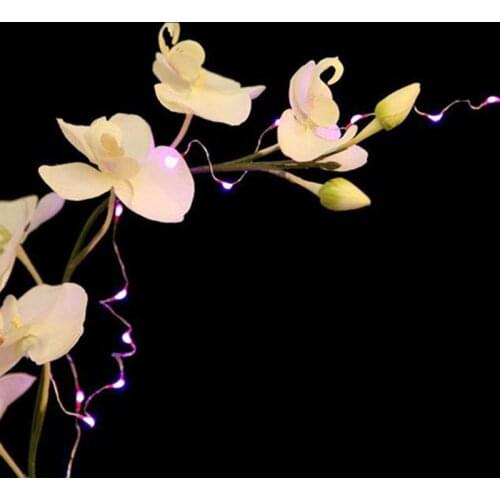 Подарки для гостей KITOSUN China At AliExpress