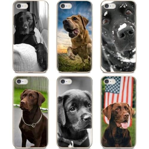 Tattoo Princess Xiaomi Poco X3 Phone Cases