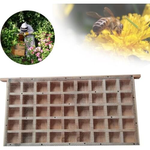 Bee Queen Cage Frame Queen Rearing Kit Beekeeping Catching Catcher Goods Tools For Beekeeper Suppiler