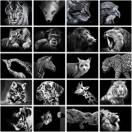 5D DIY Diamond Painting Kit dark animal horse Cat lion tiger fox giraffe Full Square&Round embroidery mosaic Cross stitch Paint