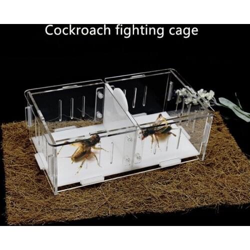Cricket Fighting Cockroach Cage Reptile Fighting Cage Transparent Acrylic Ornamental Box