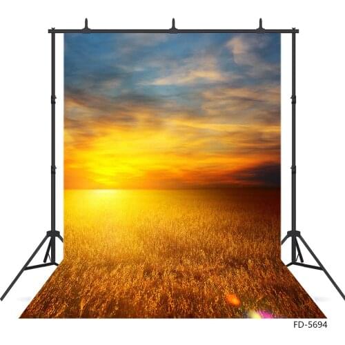 Field Sun Scenery Photography Backdrop Vinyl Cloth Photocall Background for Baby Children Portrait Pets Photophone Photo Studio