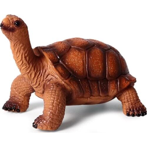 Mini Simulation Marine Wild Animal Turtle Model Tortoise Turtle Sea Amphibian Toy for Children Gift Collection Model Toy