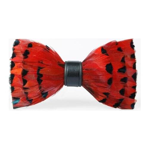 Free Shipping New Male mens fashion casual Custom bow men feather pot tie dress english banquet bride business gift PARTY man