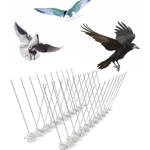 Plastic Repeller Bird and Pigeon Spikes Deterrent Anti Bird Stainless Steel Spike Strip Bird Scarer Repeller for Pigeon Supplies