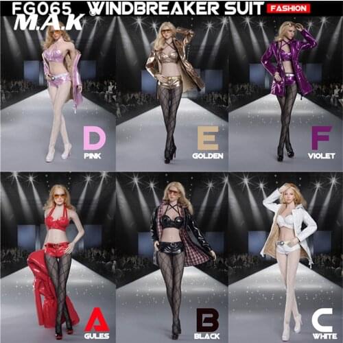 1/6 Female Figure Clothes Accessory FG065 Fashion Windbreaker Suit Stocking Heel Shoes Accessory Model for 12'' Action Figure
