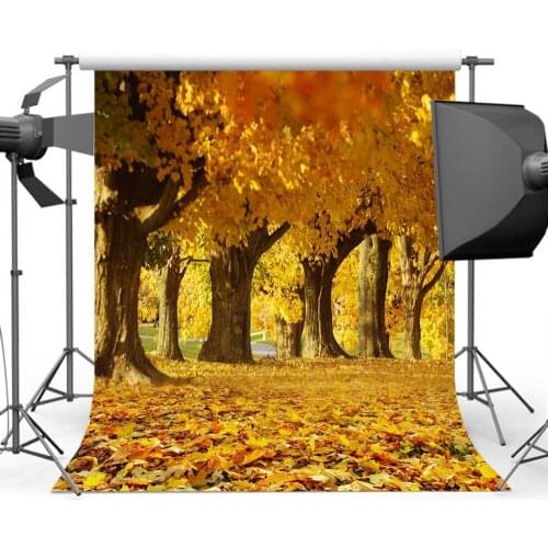 Mehofoto Autumn Scenery Background for Photography Maple Leaf Parth Photo Backdrop Studio Custom S-638