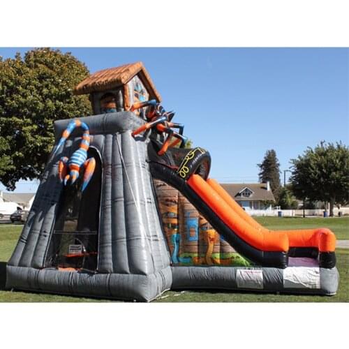 Customized PVC Material Inflatable Spider slide for Amusement Park