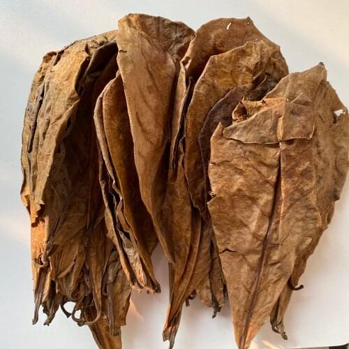 200/100/50pcs Natural Terminalia Catappa Leaves Aquarium Decoration Fish Tank Cleaning Tools Water Treatment Almond Leaf Fish