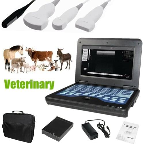 CMS600P2-VET Veterinary Ultrasonography Ultrasonic Detector Machine B Ultrasound Scanner Cow Sheep Sow Animals Pregnancy Tester