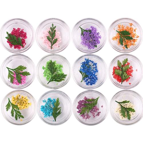 1 Box 3D Dried Flowers Nail Decorations Natural Floral Sticker Mixed Dry Flower UV Gel Polish DIY Nail Art Decals Jewelry Tr#54