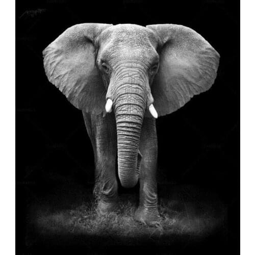 DIY Diamond Mosaic Embroidery Animal Needlework Craft 5D Diamond Painting Elephant Full Square Rhinestones Pattern Home Decor