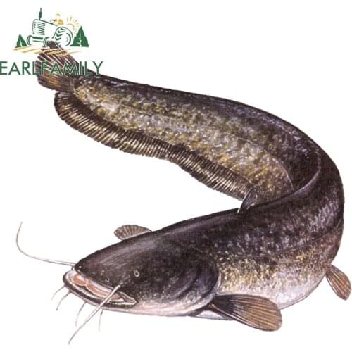 EARLFAMILY 13cm x 11.8cm for Cat Fish Fine SUV Car Stickers Waterproof Motorcycle Window Trunk Decoration Vehicle VAN Decal