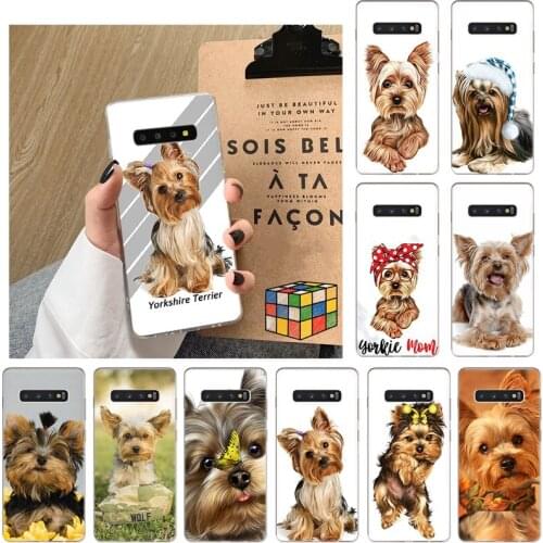 Lovely Yorkshire Terrier Dog Soft Phone Case For Samsung A02S S8 S7 A70E A70S A90 A8S M02 A01 A2 Core A6 A7 A8 A9 A5 2018 Cover