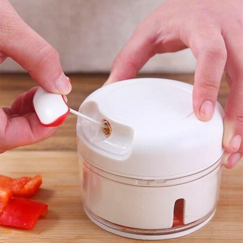 HOT SALE Mini stainless steel hand-held garlic masher multi-function chopper chili masher garlic masher kitchen tool