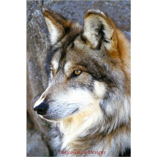 Needlework for embroidery DIY French DMC High Quality - Counted Cross Stitch Kits 14 ct Oil painting - Wolf Watch