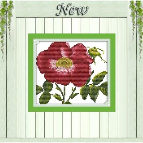 Outshine others flowers decor paintings Counted Printed on canvas DMC 11CT 14CT DIY Cross Stitch kits Needlework Sets embroidery