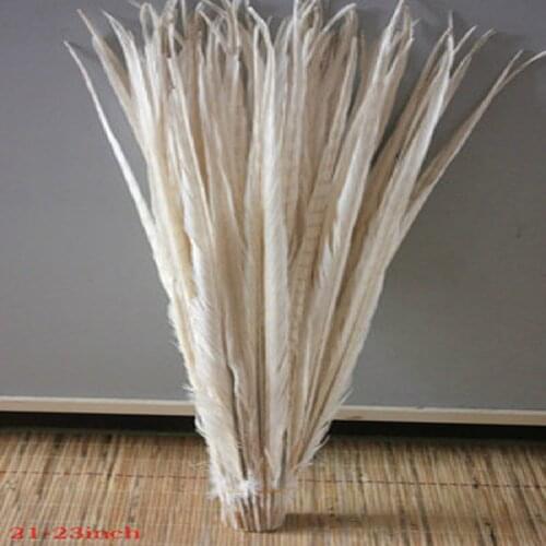 100 PCS high quality Natural white color pheasant tail feathers 20-22 inches / 50 to 55 cm