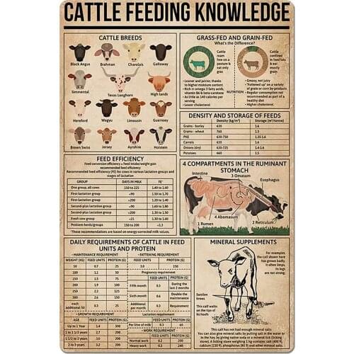 Metal Tin Sign Cattle Feeding Knowledge Illustrated Poster About Cattle Breeds Funny Farm Club Home Kitchen Bedroom Wall Plaque