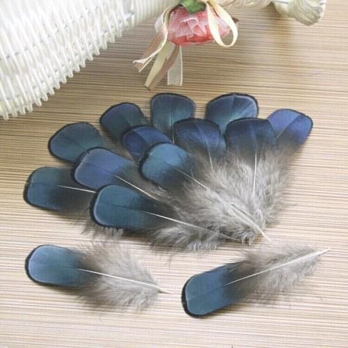 Wholesale Hot 10 pcs 5-8 cm Natural Pheasant Feathers DIY Jewelry Clothing Hat Christmas Holiday Decorative