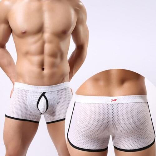 Mens Underwear Men Boxer Shorts Sexy Mesh Mens Panties GAY Boxers Underpants Breathable Outer Ring Penile Bag Homme Boxershorts