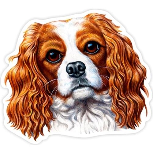S40234# Various Sizes PVC Decal Cavalier King Charles Car Sticker Waterproof on Bumper Rear Window Laptop Refrigerator Toilet