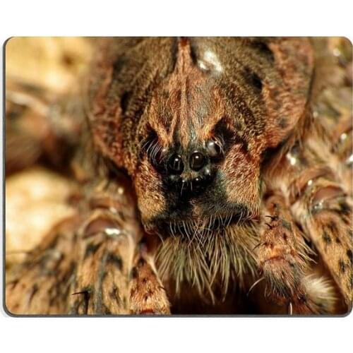 Mouse pad gaming mouse pad Huge Fishing Spider Natural Rubber Material PN00X9493