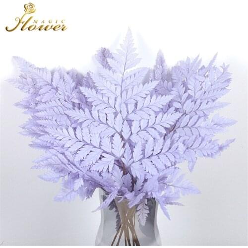 10pcs Preserved Fern Leaf Dry Natural Real Fresh Mountain Halloween Decoration Decoration Bedroom Decor Boy or Girl