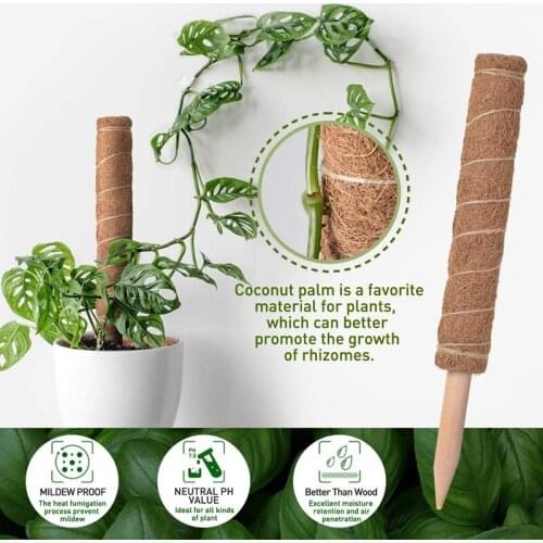 2 Pcs Coir Moss Totem Pole Plant Support Stakes for Indoor Climbing Plants Support with 13 Feet Garden Support Ties