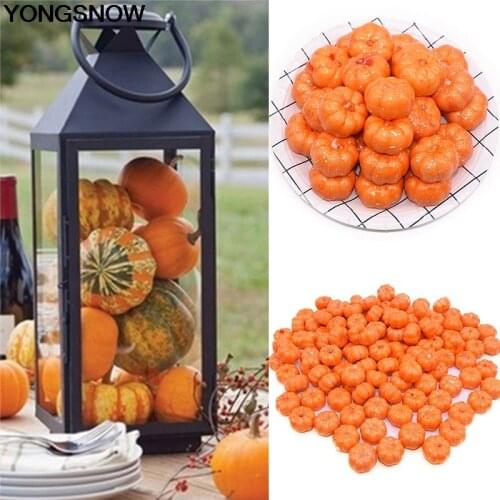 YONGSNOW Ornamental Vegetables
