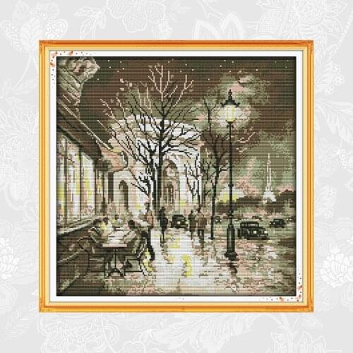 The beauty of the night Aida Canvas 14ct 11ct Cross-stitch DMC Embroidery Needlework Sets DIY handmade Cross Stitch Kits