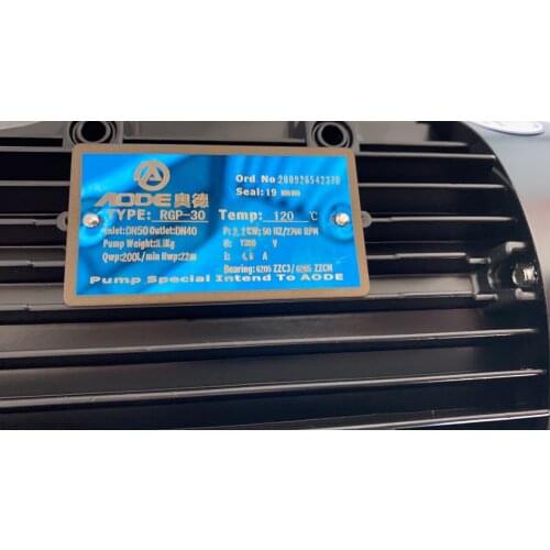 AODE Hot oil pump TYPE:RGP-30 SEAI:19mm pump speclal Intend TO AODE