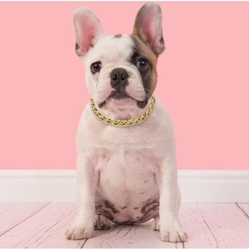 Luxury dog collar pitbull chain pug necklace bulldogs frances accessories golden color pet productos for small medium dogs