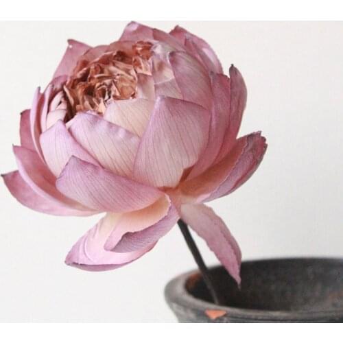 1Pcs Natural Dried Flowers Lotus DIY Plants Arrangement For Photo Props Wedding Home Party Office Decorative Dried